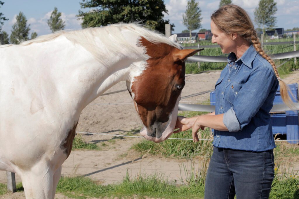 coaching met paarden in Amsterdam