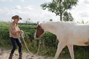 equine assisted coaching in Amsterdam met paarden