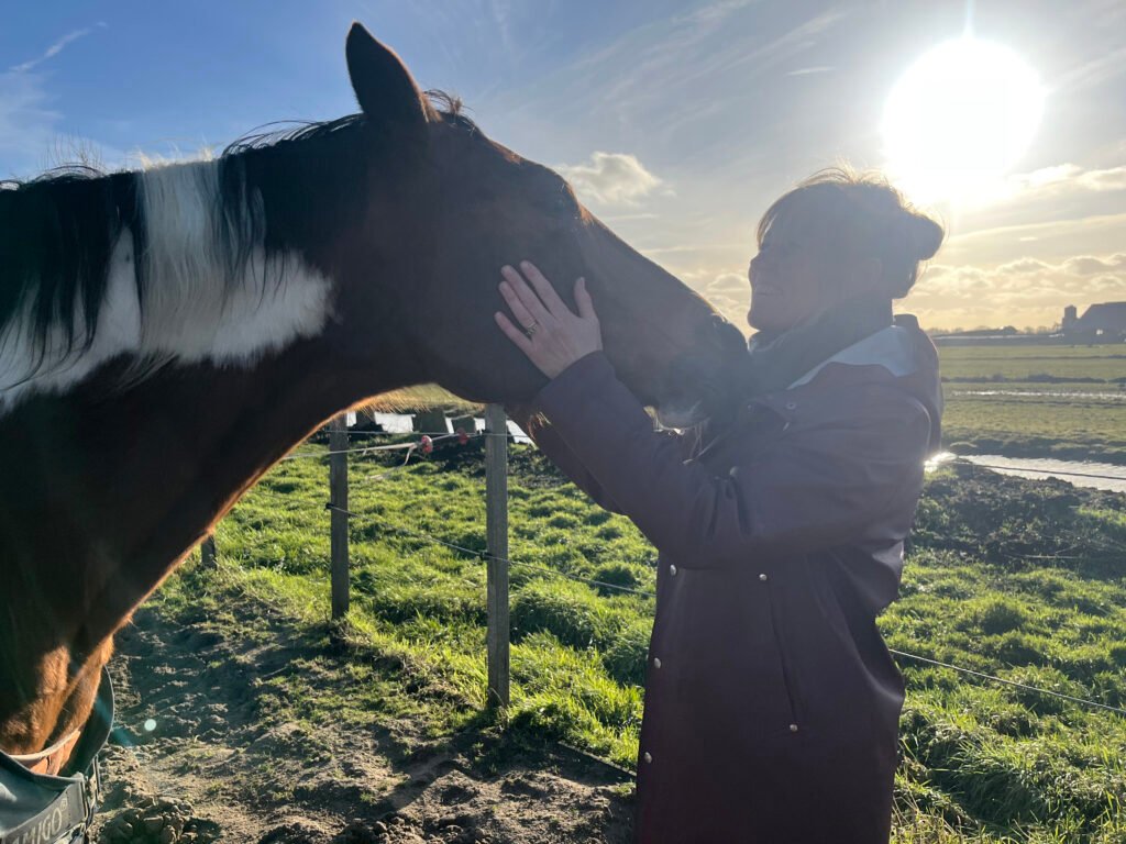 equine assisted coaching met paarden in amsterdam