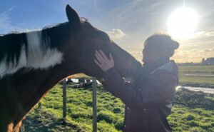 equine assisted coaching met paarden in amsterdam